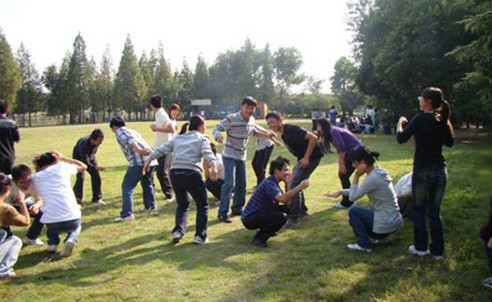 拓展项目——进化论